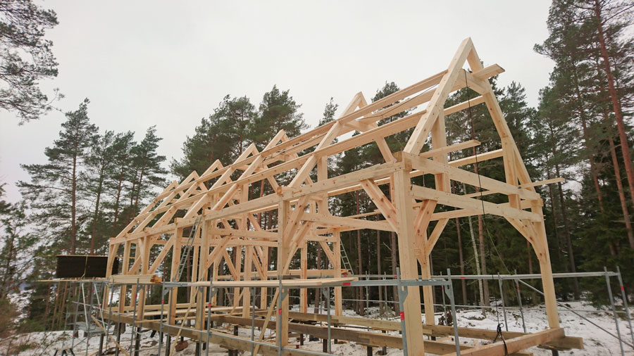 frame scaffold
